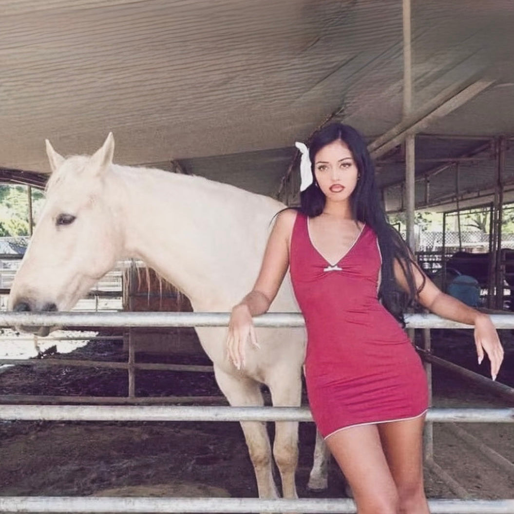 Merlot Mini Dress